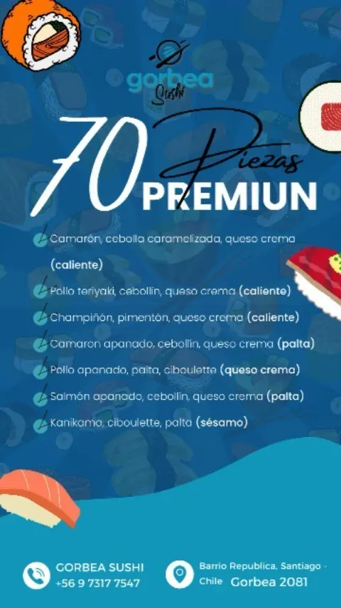 70 Piezas Premium